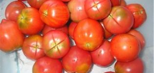 Opis odrody rajčiaka Kolkhozny, jej vlastnosti a výnos