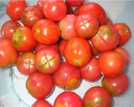 Opis odrody rajčiaka Kolkhozny, jej vlastnosti a výnos