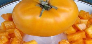 Opis odrody paradajok Pozlátený belyash a jeho vlastnosti