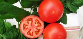 Características y descripción de la variedad de tomate Tolstoi, su rendimiento y cultivo.