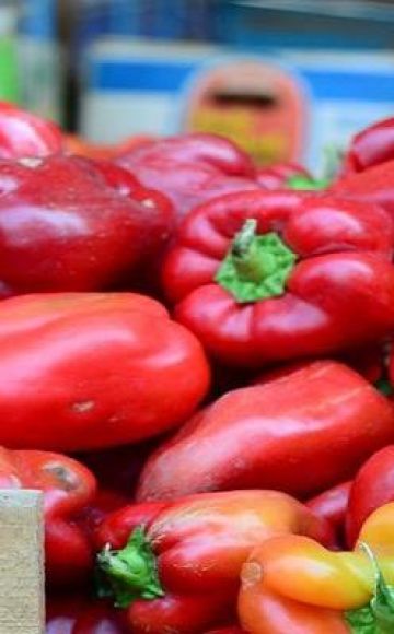 65 av de bästa och mest populära paprika 2020 med en beskrivning