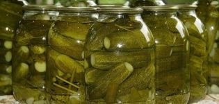 Step-by-step recipe for making pickled cucumbers in an autoclave