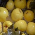 Recepty na výrobu máčených jablek na zimu doma ve sklenicích