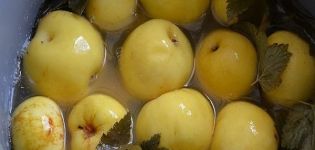 Рецепти за прављење намочених јабука за зиму код куће у стакленкама