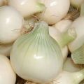 Baltųjų svogūnų nauda ir žala, veislių įvairovė, laikymo ir derliaus nuėmimo taisyklės