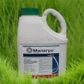 Instructions for the use of herbicide Milagro, consumption rates and analogues