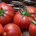 Egenskaber og beskrivelse af Puzata khata-tomatsorten, dens udbytte
