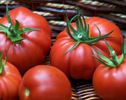Egenskaper och beskrivning av Puzata khata-tomatsorten, dess utbyte