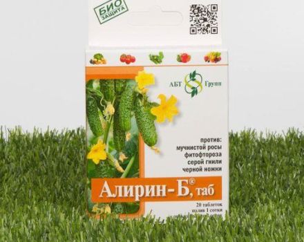 Sammansättning och instruktioner för användning av fungiciden Alirin-B, dosering och analoger
