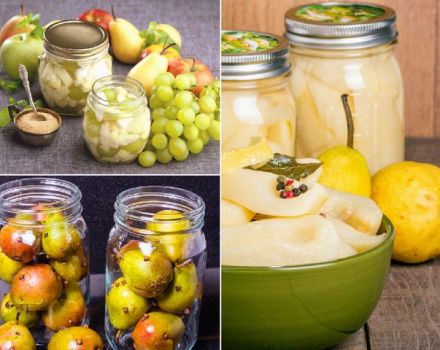 9 easy recipes for making pickled pears for the winter