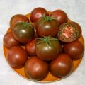 Charakteristika a popis odrůdy čokoládových rajčat, její výnos