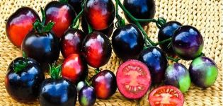 Características y descripción de la variedad de tomate Black Bunch, su rendimiento