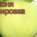 Description et caractéristiques des variétés de pommes Papirovka, avantages et inconvénients, culture