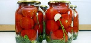 17 labākās receptes marinētu tomātu pagatavošanai ziemai