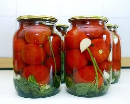 17 bästa recept för att göra inlagda tomater för vintern