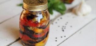 5 meilleures recettes pour les apéritifs royaux d'aubergine pour l'hiver