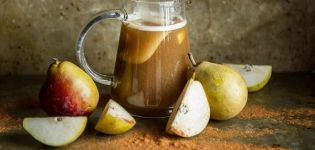 11 eenvoudige stap-voor-stap recepten voor zelfgemaakte perenwijn