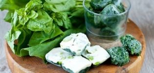 How to properly freeze spinach for the winter at home