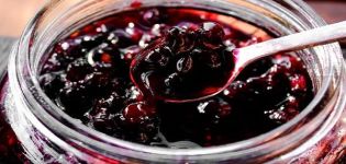 6 receptov na postupnú prípravu irgi jam na zimu