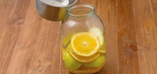 12 bästa recept för att göra äppel- och apelsinkompot för vintern