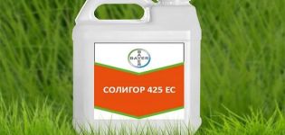 Instruktioner för användning av fungiciden Soligor, verkningsmekanism och konsumtionshastigheter