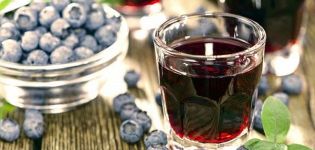 5 paprasti naminio mėlynių vyno receptai