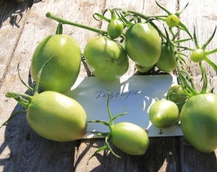 Pomidorų veislės Trump aprašymas, auginimo ir priežiūros ypatybės