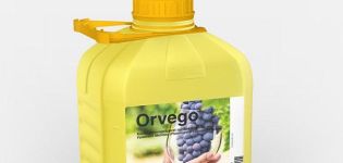 Instruktioner för användning av fungicid Orvego, beskrivning av produkten och analoger