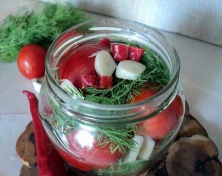 16 beste recepten voor het maken van gepekelde hete tomaten voor de winter