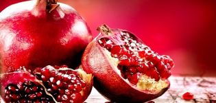 Fördelarna och skadorna av granatäpplet för människors hälsa och metoder för att äta frukt och frön