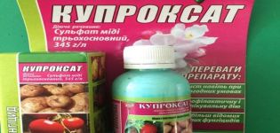 Gebrauchsanweisung für das Fungizid Cuproxat