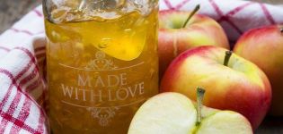 9 legjobb lépésről lépésre recept az almás zseléshez, zselatinnal és anélkül télen