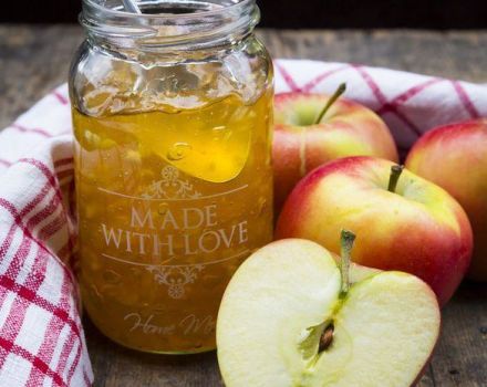 9 mejores recetas paso a paso de gelatina de manzana con y sin gelatina para el invierno