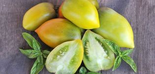 Beskrivning av Chile Verde-tomatsort, funktioner för odling och vård