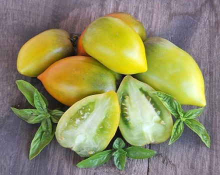 Popis odrůdy rajčat Chile Verde, rysy pěstování a péče