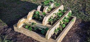 How to make a pyramid bed for strawberries with your own hands, sizes and cultivation