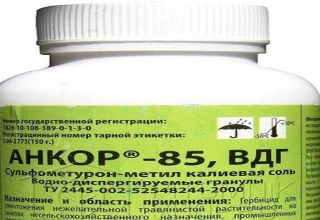 Instructions for the use of herbicide Ankor 85, mechanism of action and consumption rates