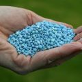Hvad skal man behandle fosfatgødning: deres typer og navn