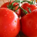 Beskrivning av tomatsorten Afrodite, dess utbyte och egenskaper