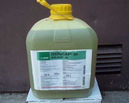Instructions pour l'utilisation de l'herbicide Pulsar, composition et forme de libération du produit