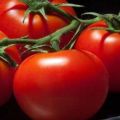 Mô tả và đặc điểm của các giống cà chua 100 phần trăm f1