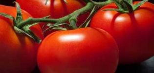 Beskrivning och egenskaper hos tomatsorten 100 procent f1