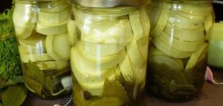 8 beste recepten voor zoete zucchini voor de winter