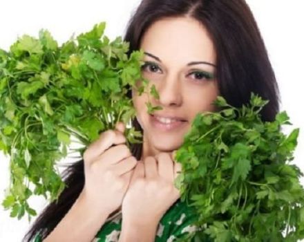 How many parsley seeds to eat to trigger your period