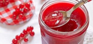 10 enkla steg-för-steg recept för röda vinbär gelé för vintern