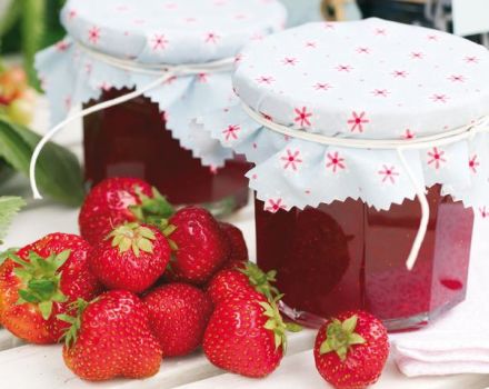 22 beste stap-voor-stap aardbeienjamrecepten voor de winter