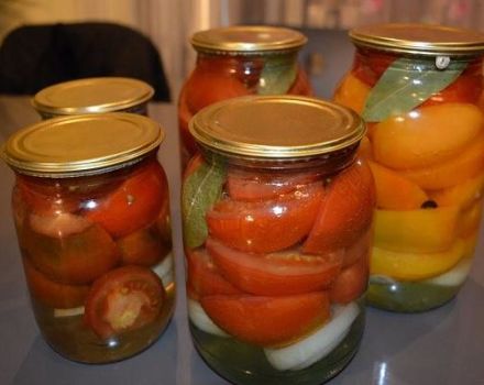 TOP 3 recetas paso a paso para tomates en escabeche Dedos de damas para el invierno