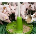 Thành phần và hướng dẫn sử dụng BMVD cho lợn ăn, cách tự làm