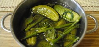 6 manieren om thuis snel en gemakkelijk komkommers te pekelen