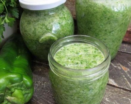 13 beste recepten voor het maken van groene adjika voor de winter